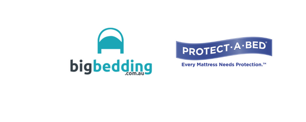 Now Selling Protect A Bed - Invest To Protect Your Mattress